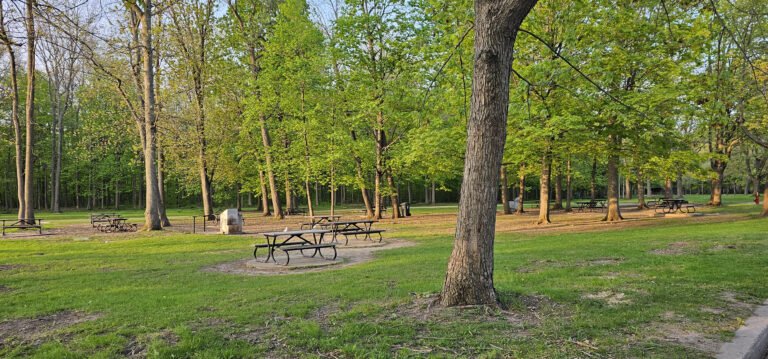 Beautiful park Angrignon | ਐਨਗ੍ਰਿਗਨੋਨ ਸਟੇਸ਼ਨ ਪਾਰਕ